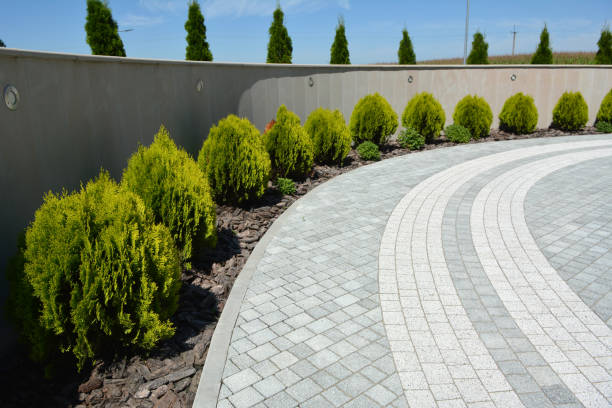Best Residential Driveway Paver Services  in La Puebla, NM